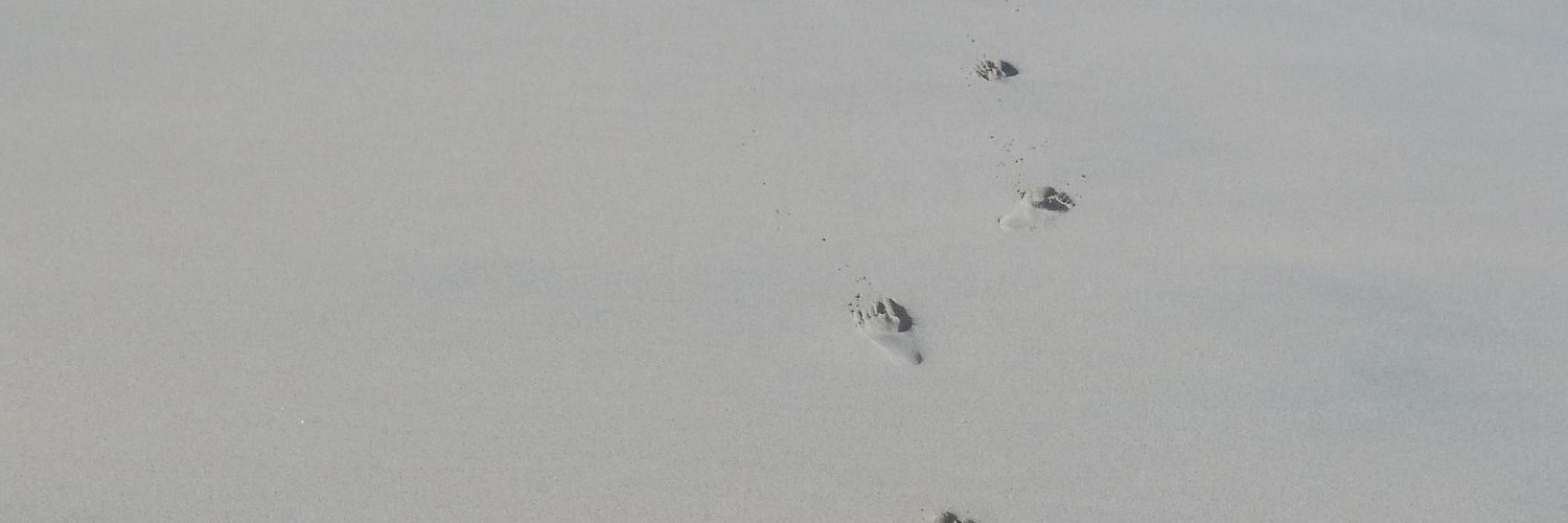mgmmum's profile banner image