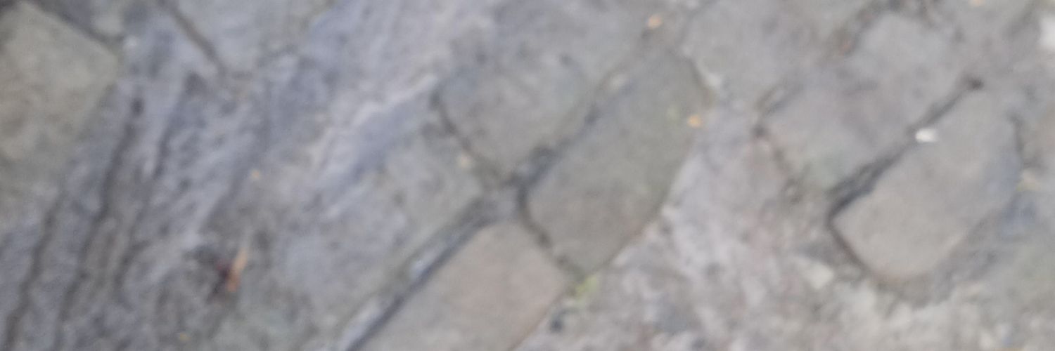 jenggotboy's profile banner image