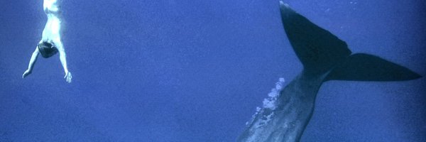 noeimrk_ Profile Banner