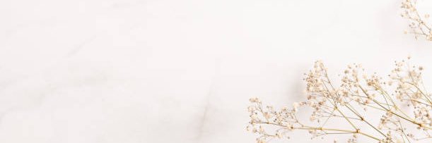 Dr. Endorphin banner