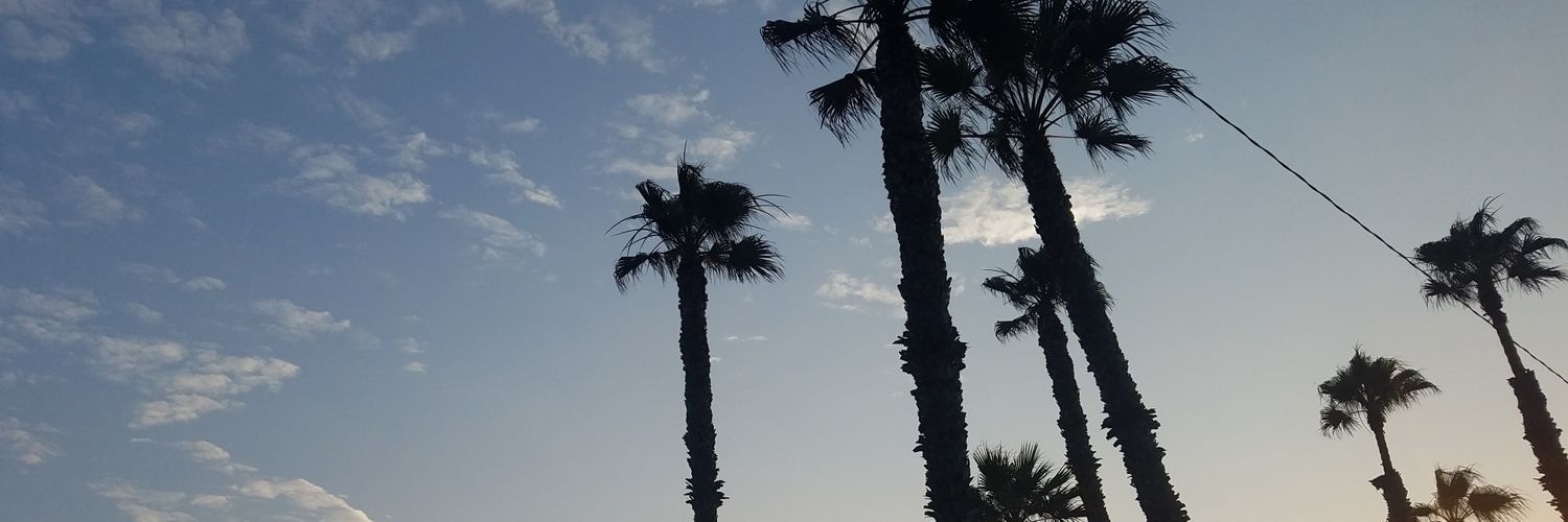 tinali3698's profile banner image