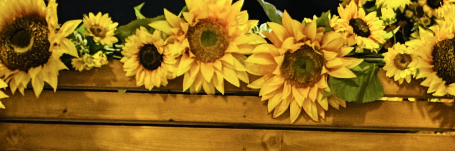 NATSUME_wean's profile banner image