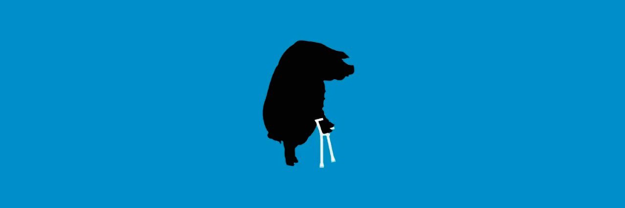 che_flacko's profile banner image