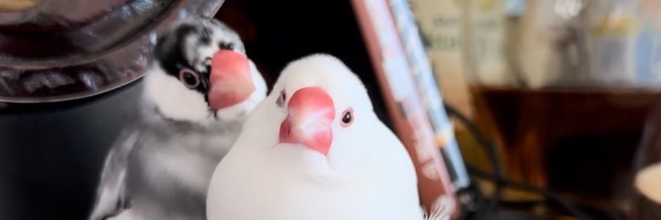 あさモン banner