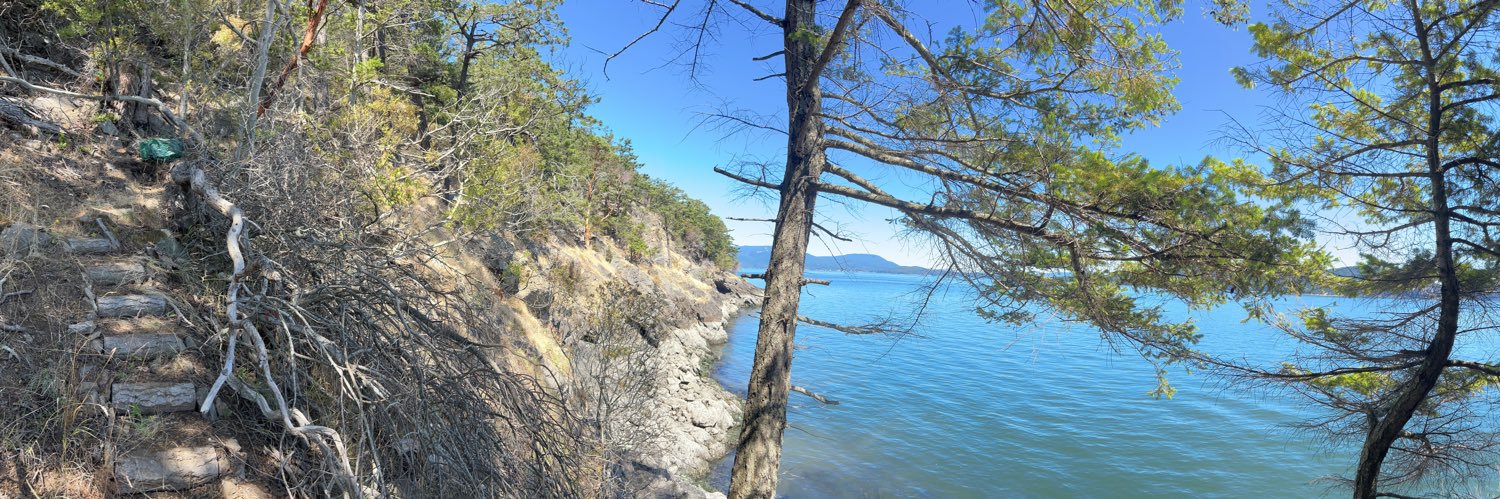 Kristi DePaul 🌻🫶🪬 banner