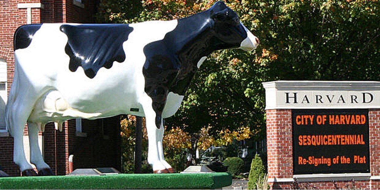 Harvard4ever's profile banner image