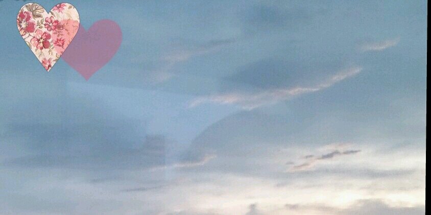 m_bouquet's profile banner image