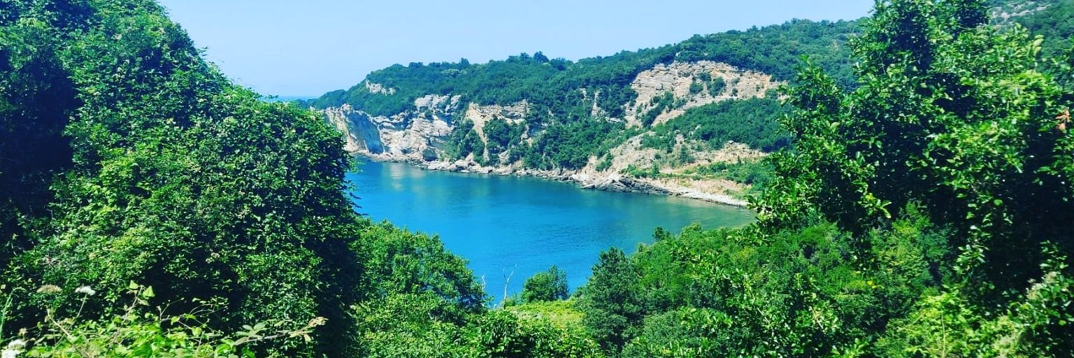 AkinDadayli's profile banner image