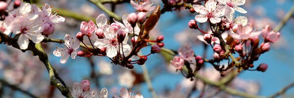 TheovdMeer Profile Banner