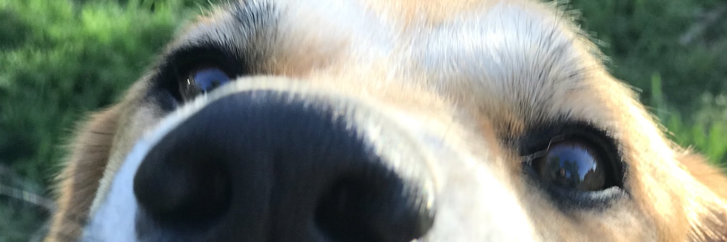 RyanDThoughts's profile banner image