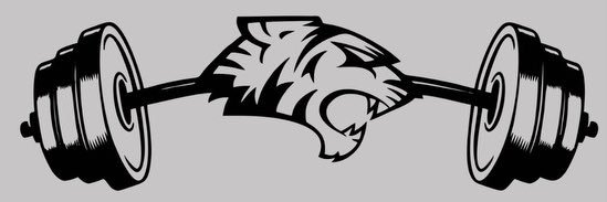 Grayson Snider banner