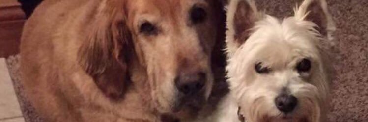 turnchri's profile banner image