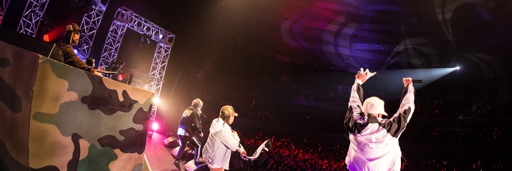 カエルスタジオ🐸 banner