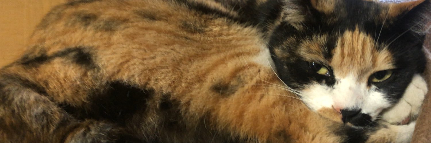 lllljirollll's profile banner image