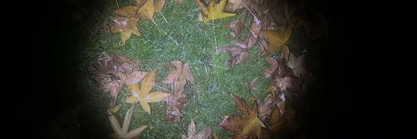 bbqdbrains Profile Banner