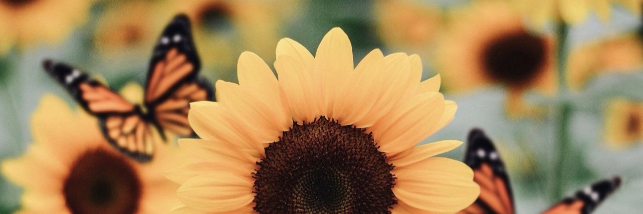 emilycue_'s profile banner image