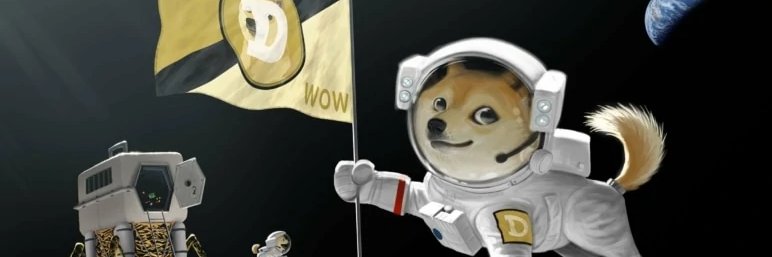 Porpoise banner