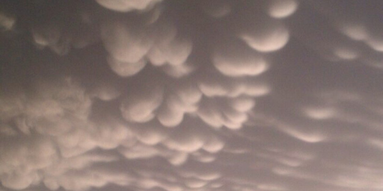 Renny Vandewege banner