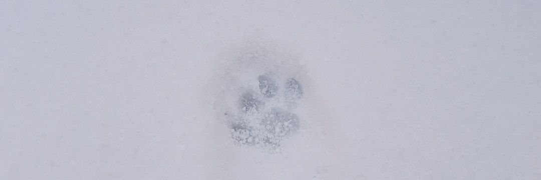 아루 4/8 모든ㅉㅂㄴ🦋 구함 banner