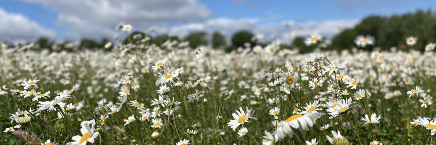 (P) Vicky Robinson✂️👗🧁🍰 banner