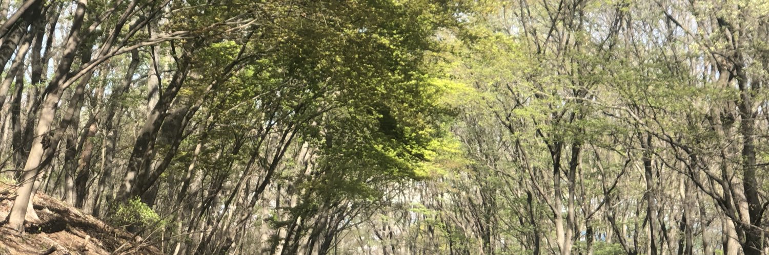 hirokihashimot's profile banner image