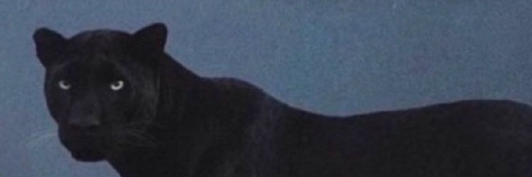 gordukeX's profile banner image
