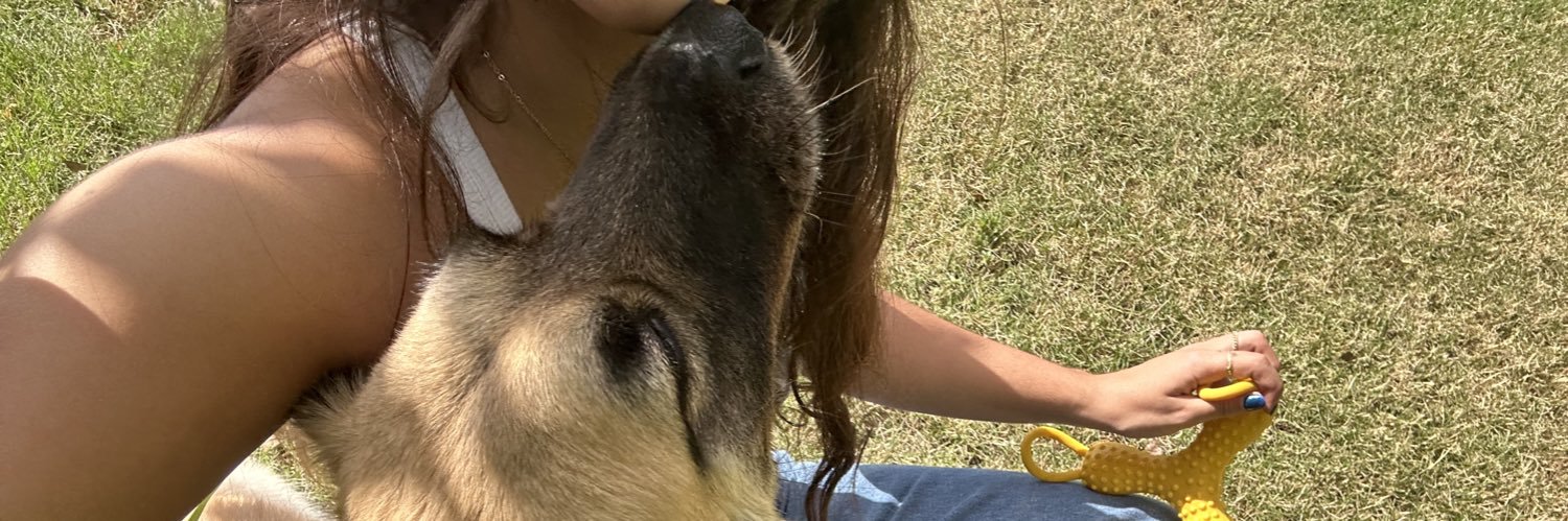 lauraapinooo's profile banner image
