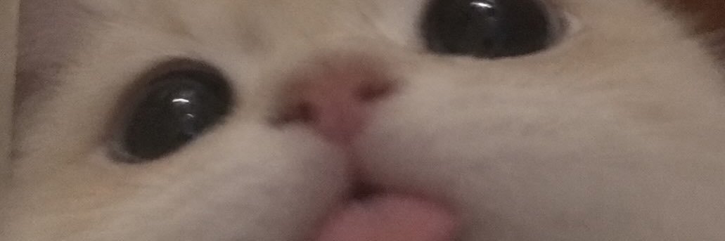 blmALINCA's profile banner image