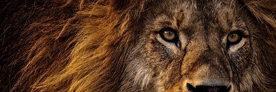 JituNafim's profile banner image