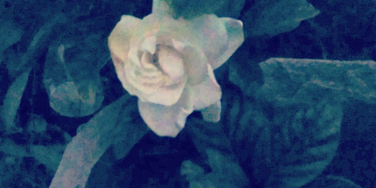 AlfrTorre's profile banner image