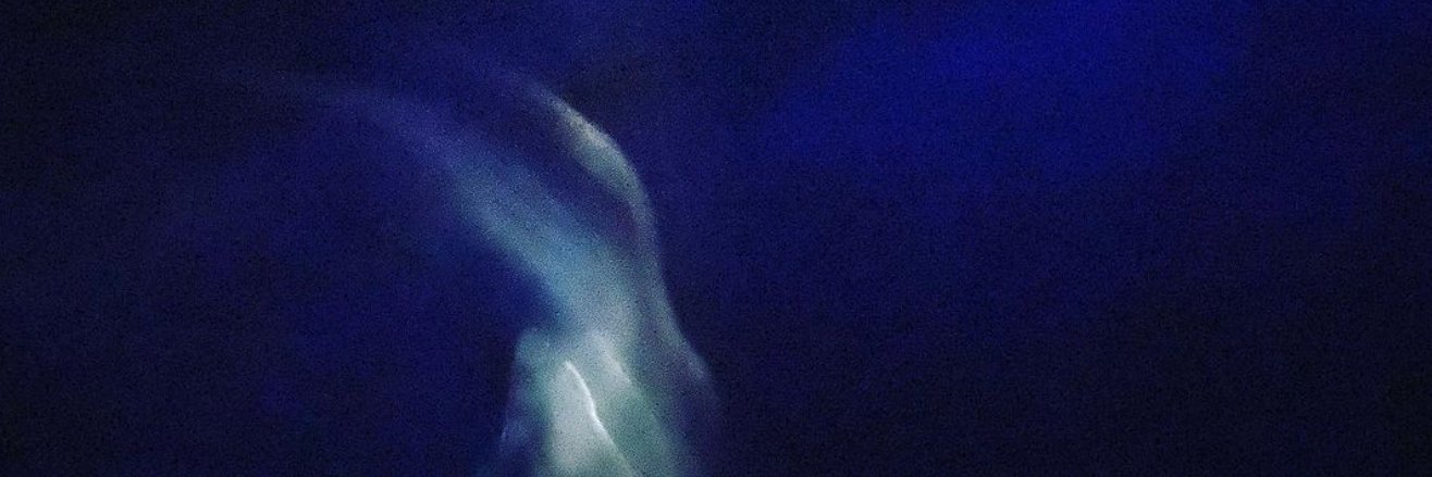 Susan Batchelor banner