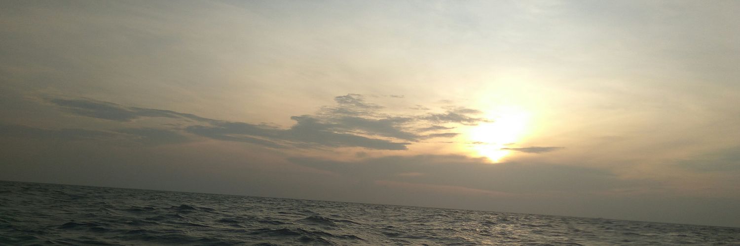 kisapudemit's profile banner image