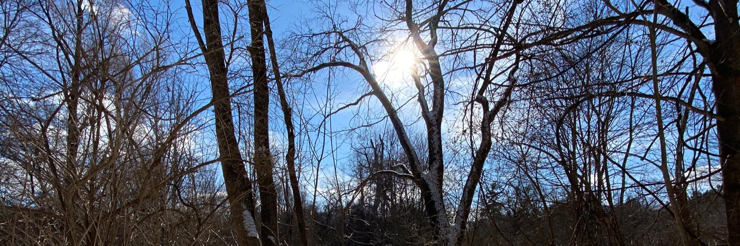 Devins Network has fully migrated to @FergDevins banner