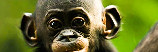 MrKash_'s profile banner image