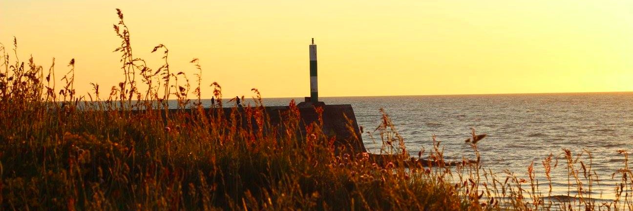 Danielle Young banner