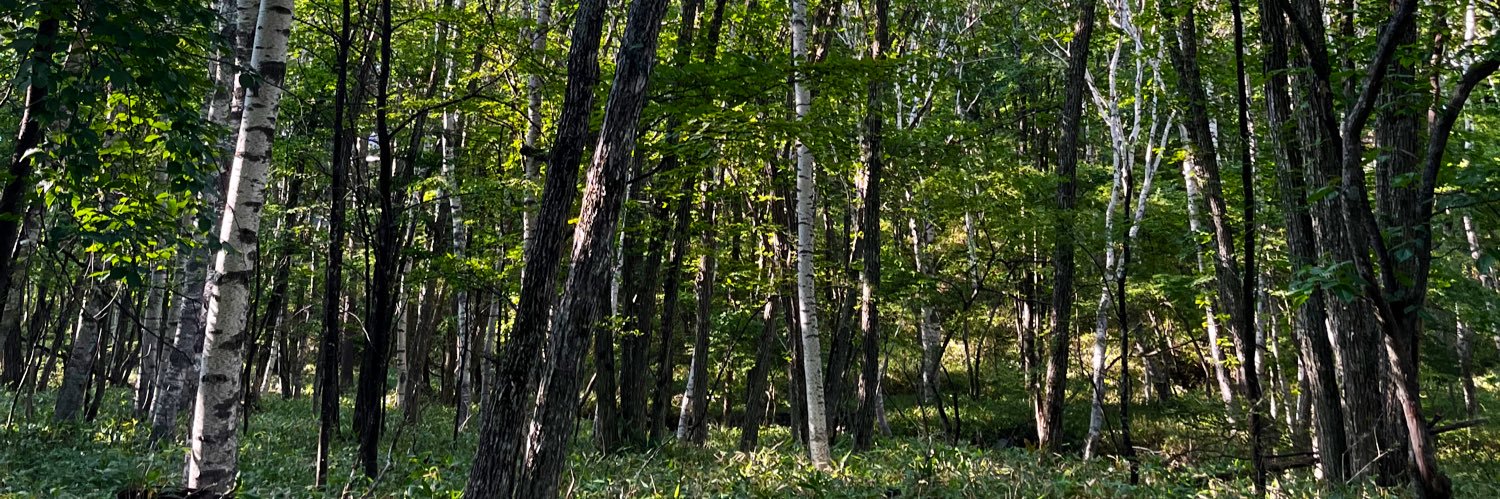 spring_orme's profile banner image