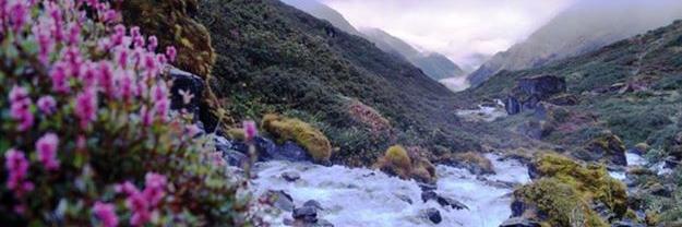 Anil_Parajuli's profile banner image