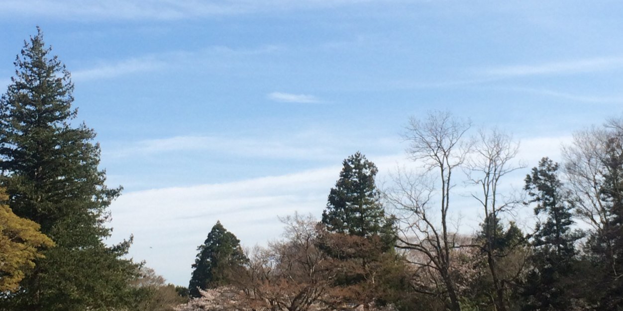 でんでっち banner