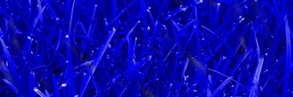 MarkMews Profile Banner