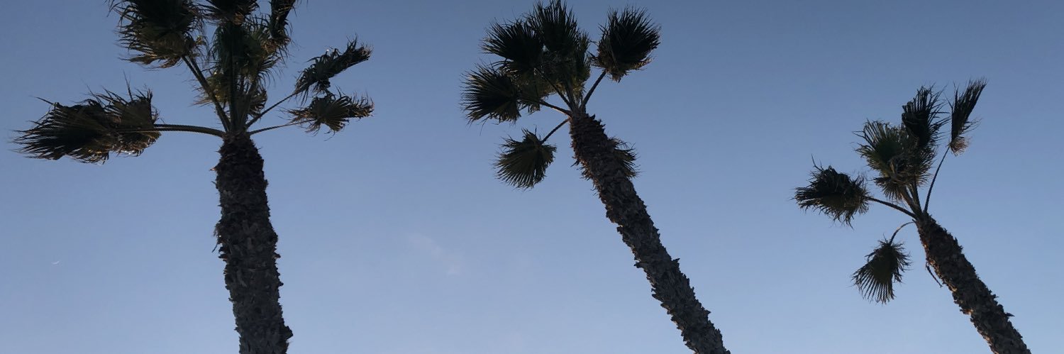 tyler99mitchell's profile banner image