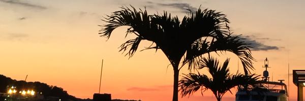 deeluck12 Profile Banner