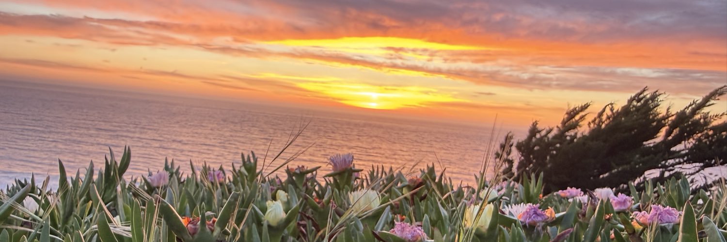 _tmw732's profile banner image