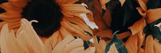 HistoricJess's profile banner image