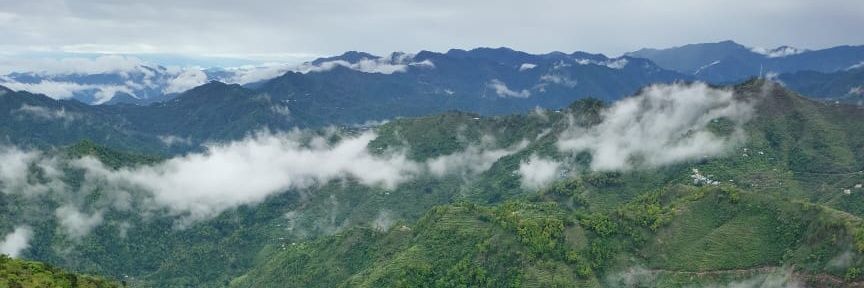 बिनोद पयाल banner