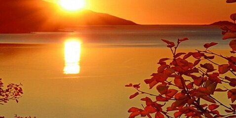 febriyandaa_'s profile banner image
