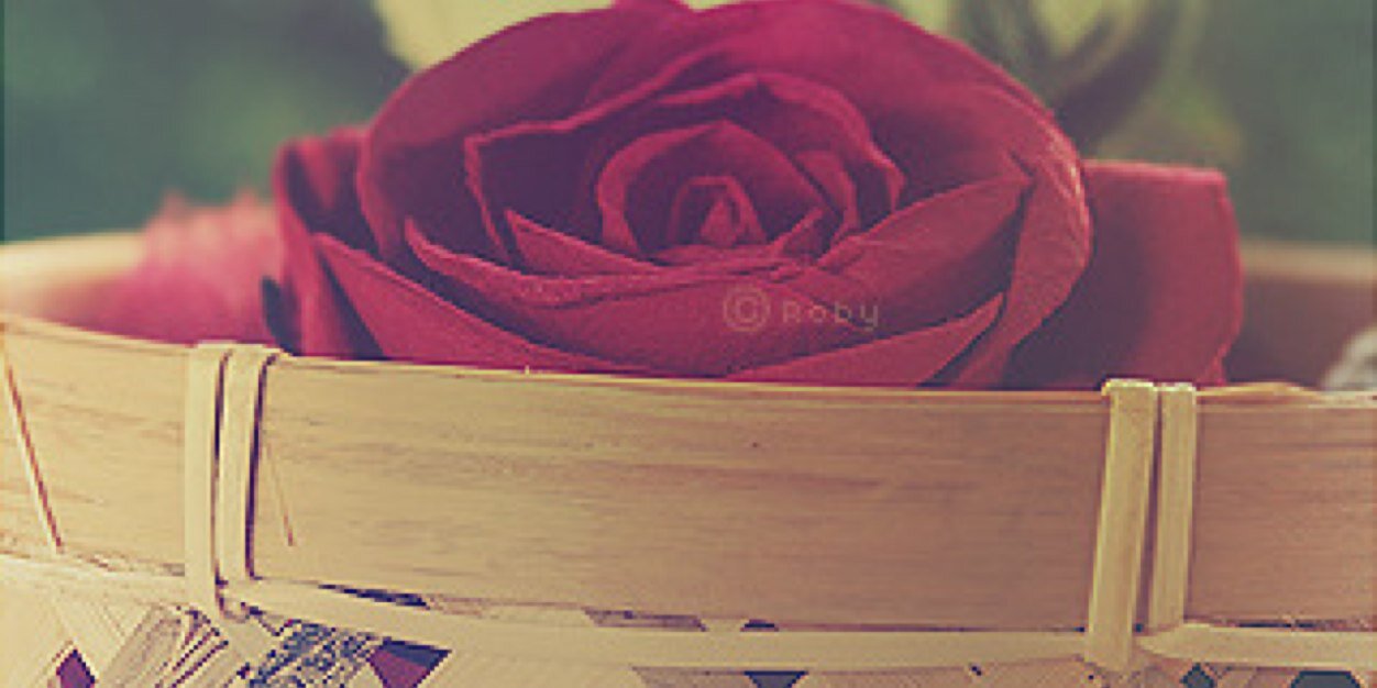 ShAlQarni86's profile banner image