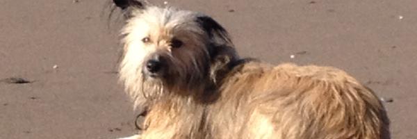 mattharvey4 Profile Banner