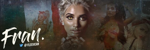 Fleexican's profile banner image