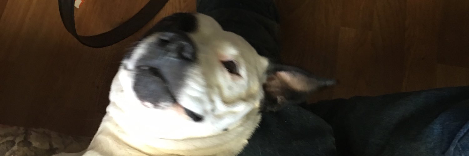 asurtees22's profile banner image
