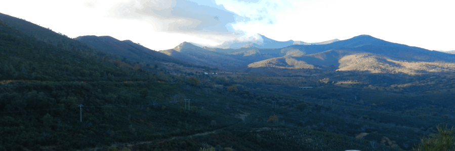 visitageoparque's profile banner image